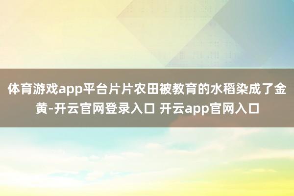 体育游戏app平台片片农田被教育的水稻染成了金黄-开云官网登录入口 开云app官网入口
