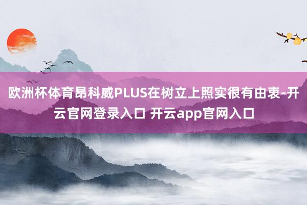 欧洲杯体育昂科威PLUS在树立上照实很有由衷-开云官网登录入口 开云app官网入口