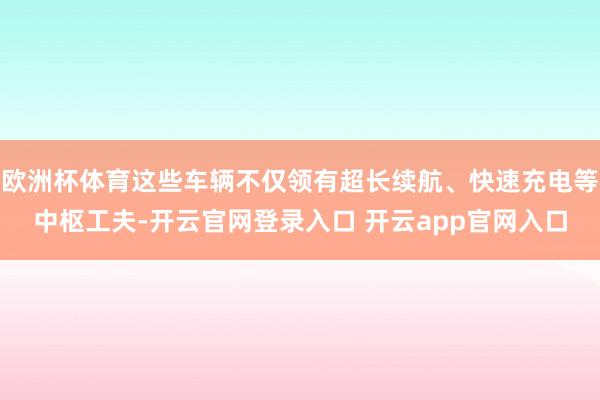 欧洲杯体育这些车辆不仅领有超长续航、快速充电等中枢工夫-开云官网登录入口 开云app官网入口