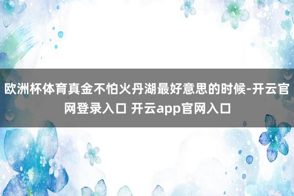 欧洲杯体育真金不怕火丹湖最好意思的时候-开云官网登录入口 开云app官网入口