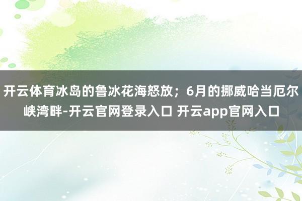 开云体育冰岛的鲁冰花海怒放；6月的挪威哈当厄尔峡湾畔-开云官网登录入口 开云app官网入口