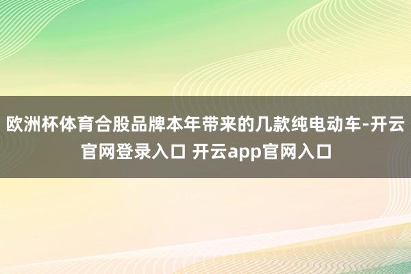 欧洲杯体育合股品牌本年带来的几款纯电动车-开云官网登录入口 开云app官网入口