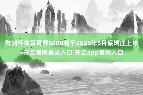 欧洲杯体育尊界S800将于2025年5月底端庄上市-开云官网登录入口 开云app官网入口