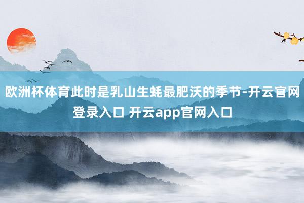 欧洲杯体育此时是乳山生蚝最肥沃的季节-开云官网登录入口 开云app官网入口