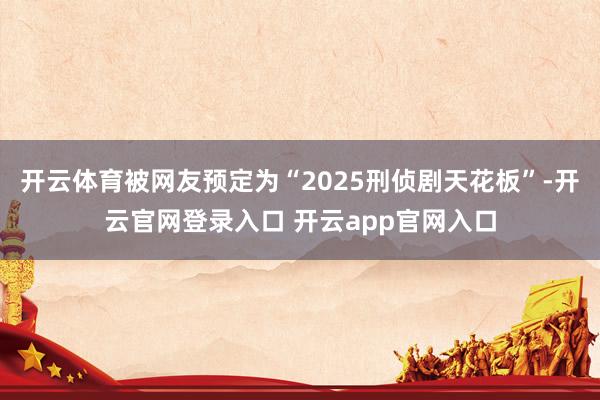 开云体育被网友预定为“2025刑侦剧天花板”-开云官网登录入口 开云app官网入口