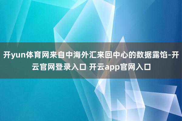 开yun体育网来自中海外汇来回中心的数据露馅-开云官网登录入口 开云app官网入口
