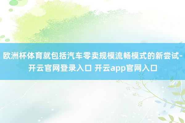 欧洲杯体育就包括汽车零卖规模流畅模式的新尝试-开云官网登录入口 开云app官网入口