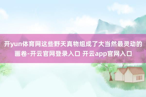 开yun体育网这些野天真物组成了大当然最灵动的画卷-开云官网登录入口 开云app官网入口