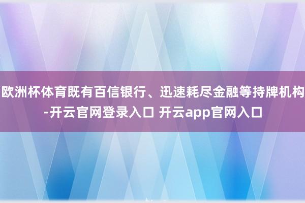 欧洲杯体育既有百信银行、迅速耗尽金融等持牌机构-开云官网登录入口 开云app官网入口