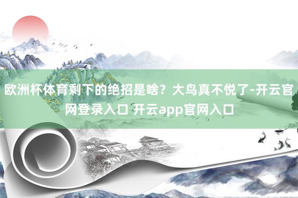 欧洲杯体育剩下的绝招是啥？大鸟真不悦了-开云官网登录入口 开云app官网入口