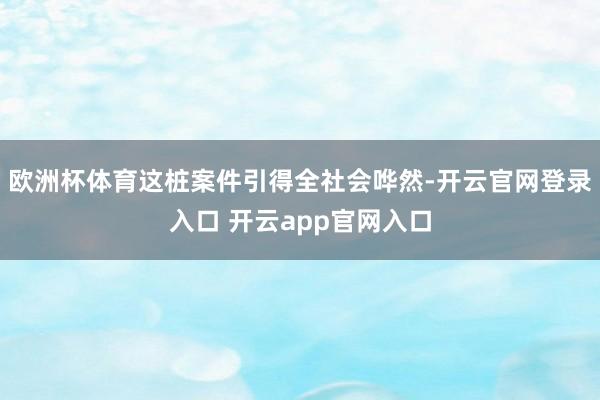 欧洲杯体育这桩案件引得全社会哗然-开云官网登录入口 开云app官网入口