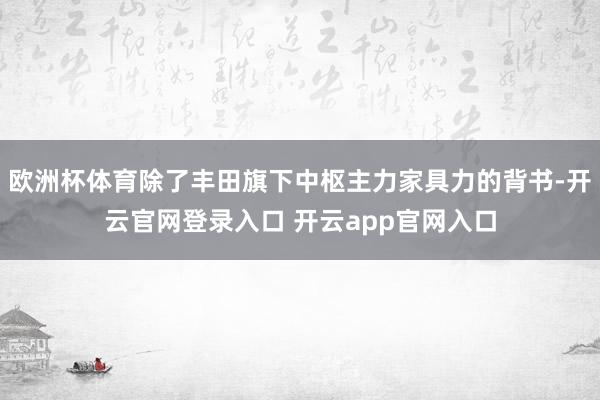 欧洲杯体育除了丰田旗下中枢主力家具力的背书-开云官网登录入口 开云app官网入口