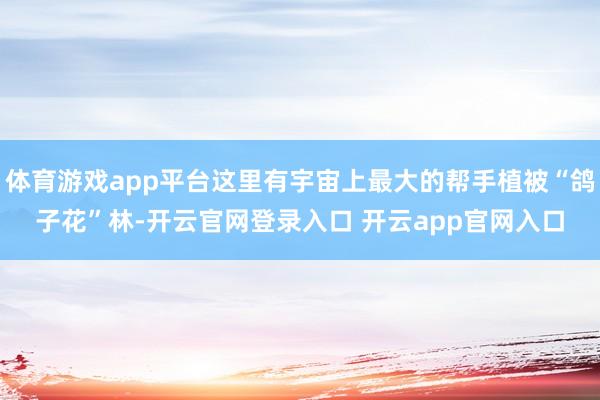 体育游戏app平台这里有宇宙上最大的帮手植被“鸽子花”林-开云官网登录入口 开云app官网入口