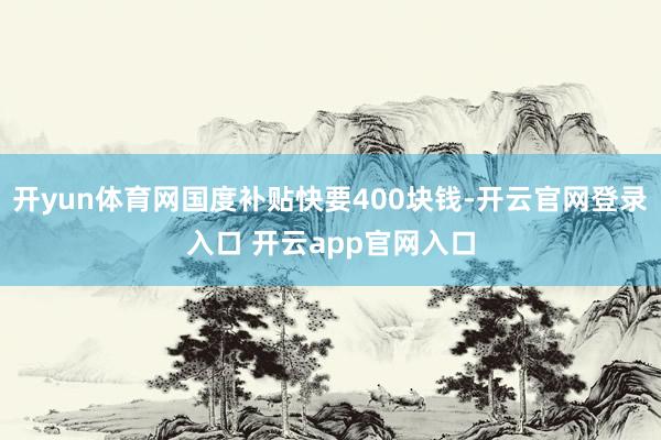 开yun体育网国度补贴快要400块钱-开云官网登录入口 开云app官网入口