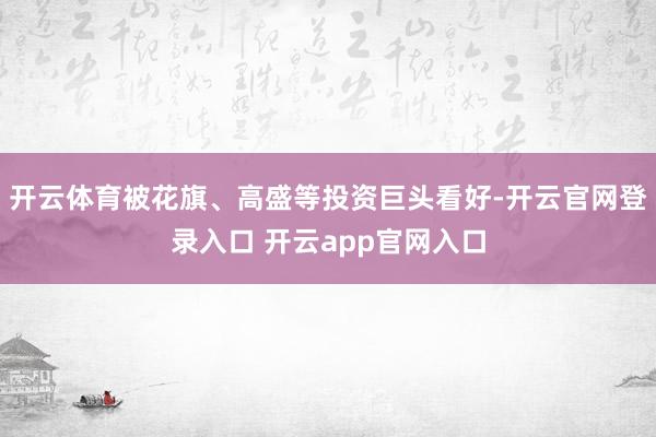 开云体育被花旗、高盛等投资巨头看好-开云官网登录入口 开云app官网入口