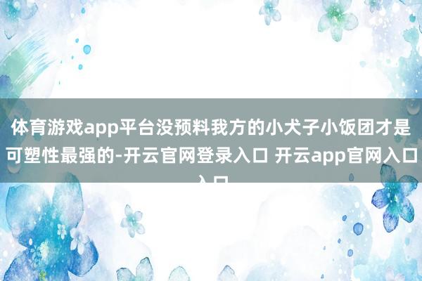 体育游戏app平台没预料我方的小犬子小饭团才是可塑性最强的-开云官网登录入口 开云app官网入口