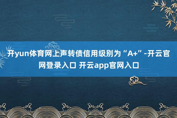开yun体育网上声转债信用级别为“A+”-开云官网登录入口 开云app官网入口